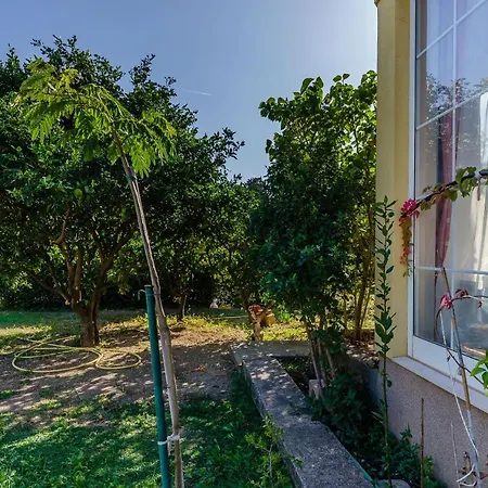 Benzon Daire Kastela